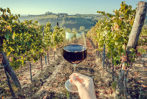 Best Italian Wines for Beginners Must Try in 2022