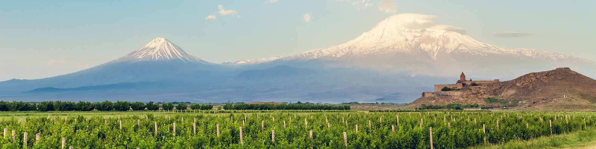 WINES OF ARMENIA