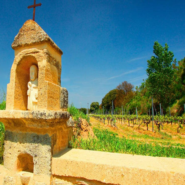 Clos de L'Oratoire Des Papes 2021 Chateauneuf-du-Pape France