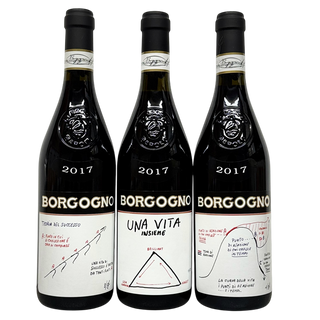 Giacomo Borgogno Barolo Le Teorie 2017 Tasting Set | 3-Bottle Nebbiolo Collection