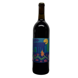 Vinos Pijoan 2024 El Carbonico | Natural Red Wine Valle de Guadalupe Mexico